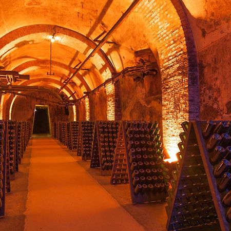 Champagne Central - Exceptionnel 3 Chambres Reims Ngoại thất bức ảnh